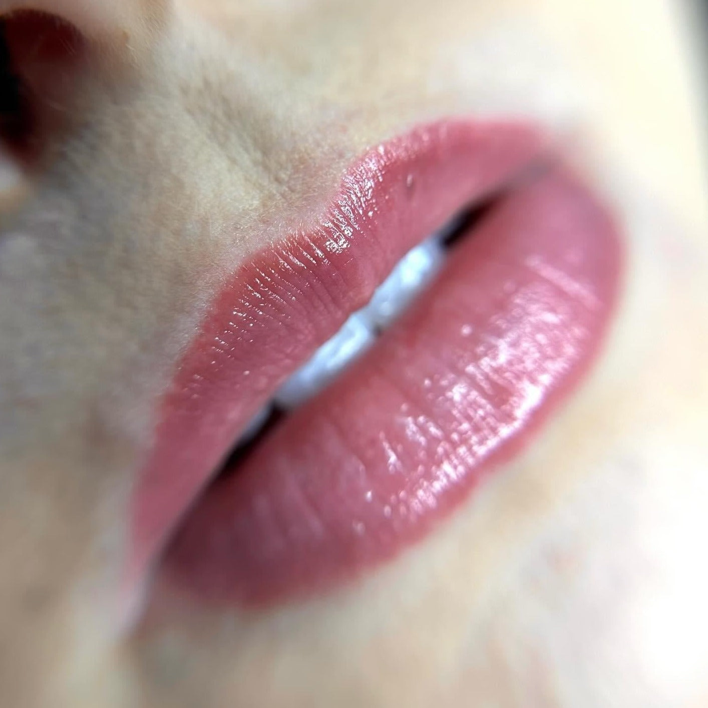 CEO PMU Lip Blush Pigment