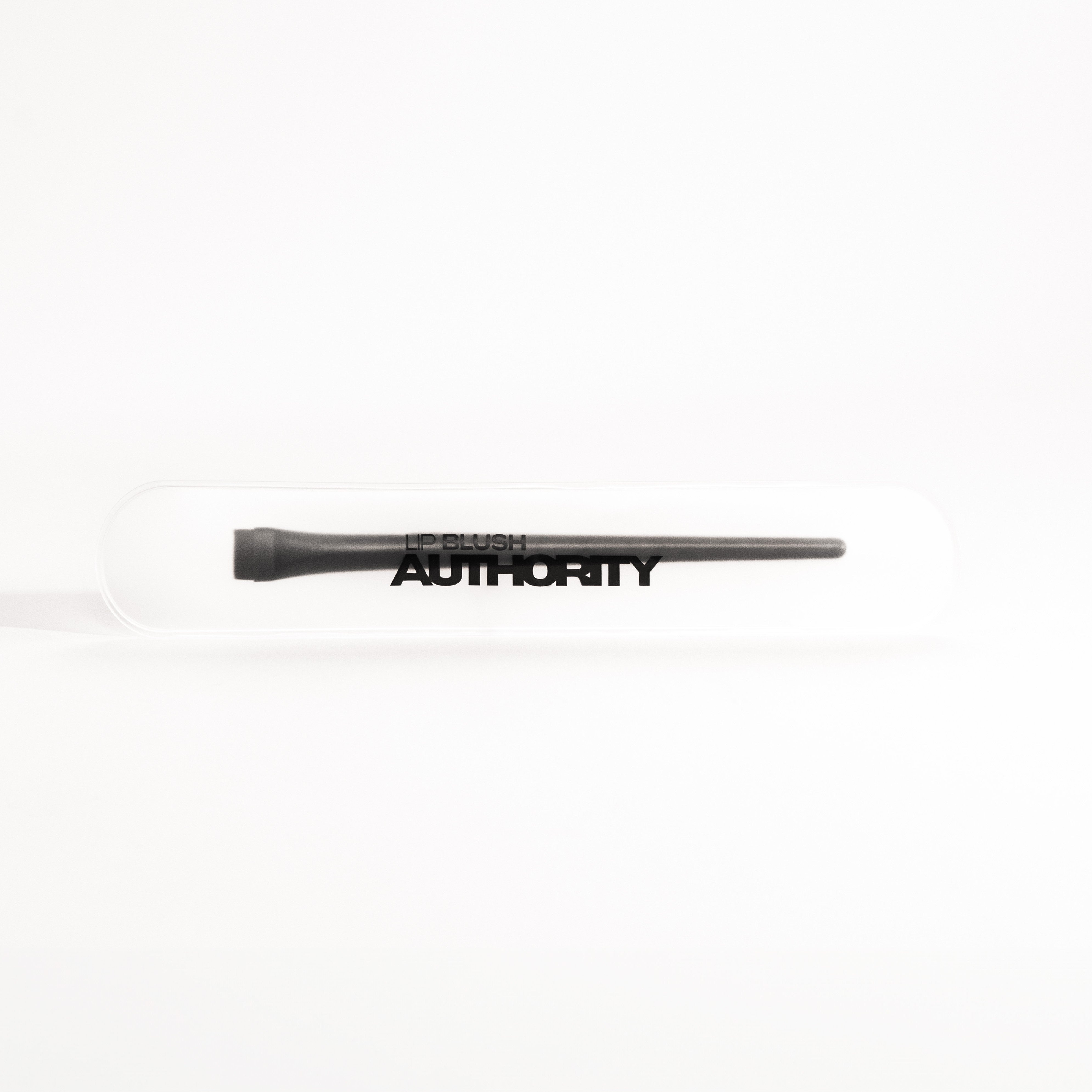 Precision Mapping Brush