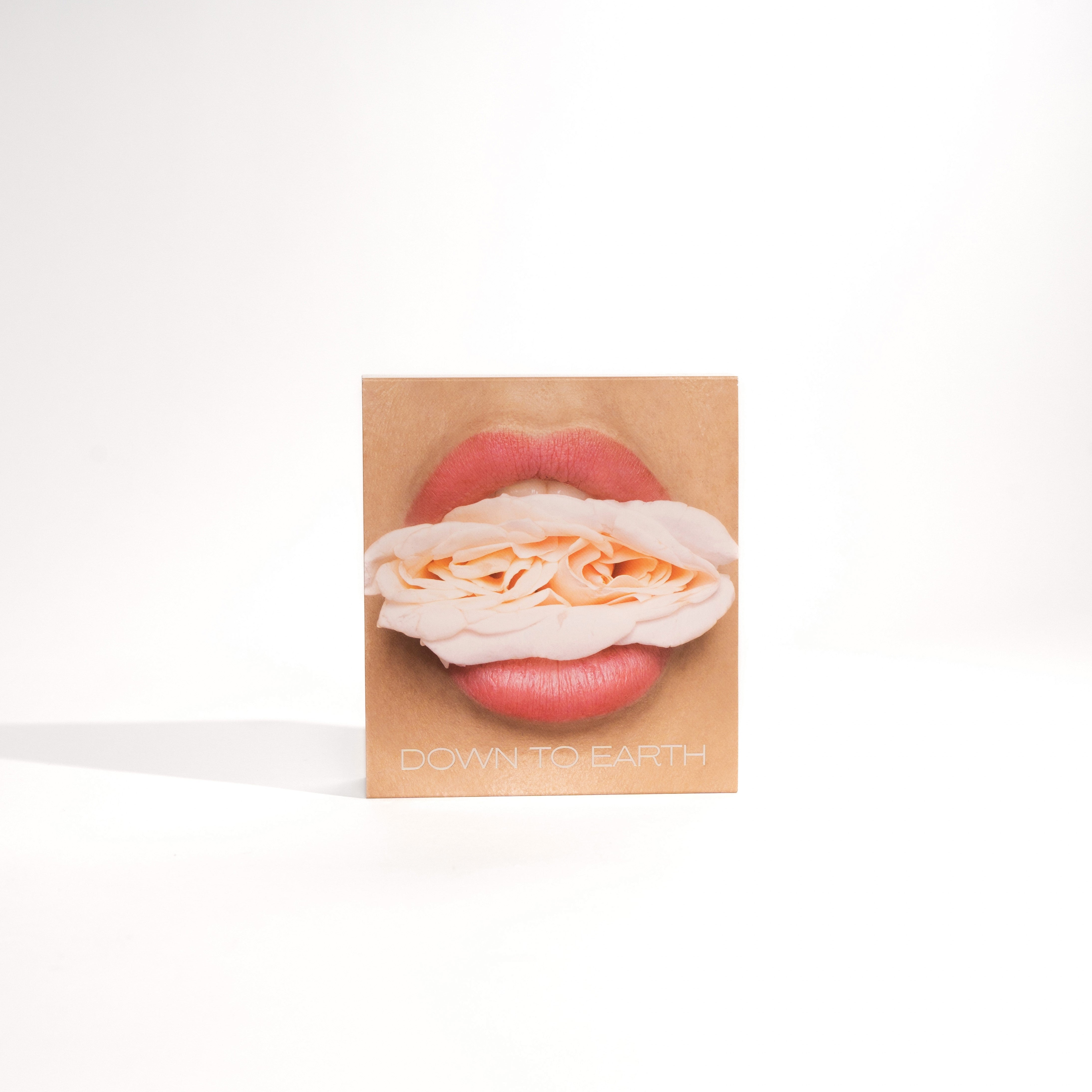 Down To Earth Lip Pigment Set