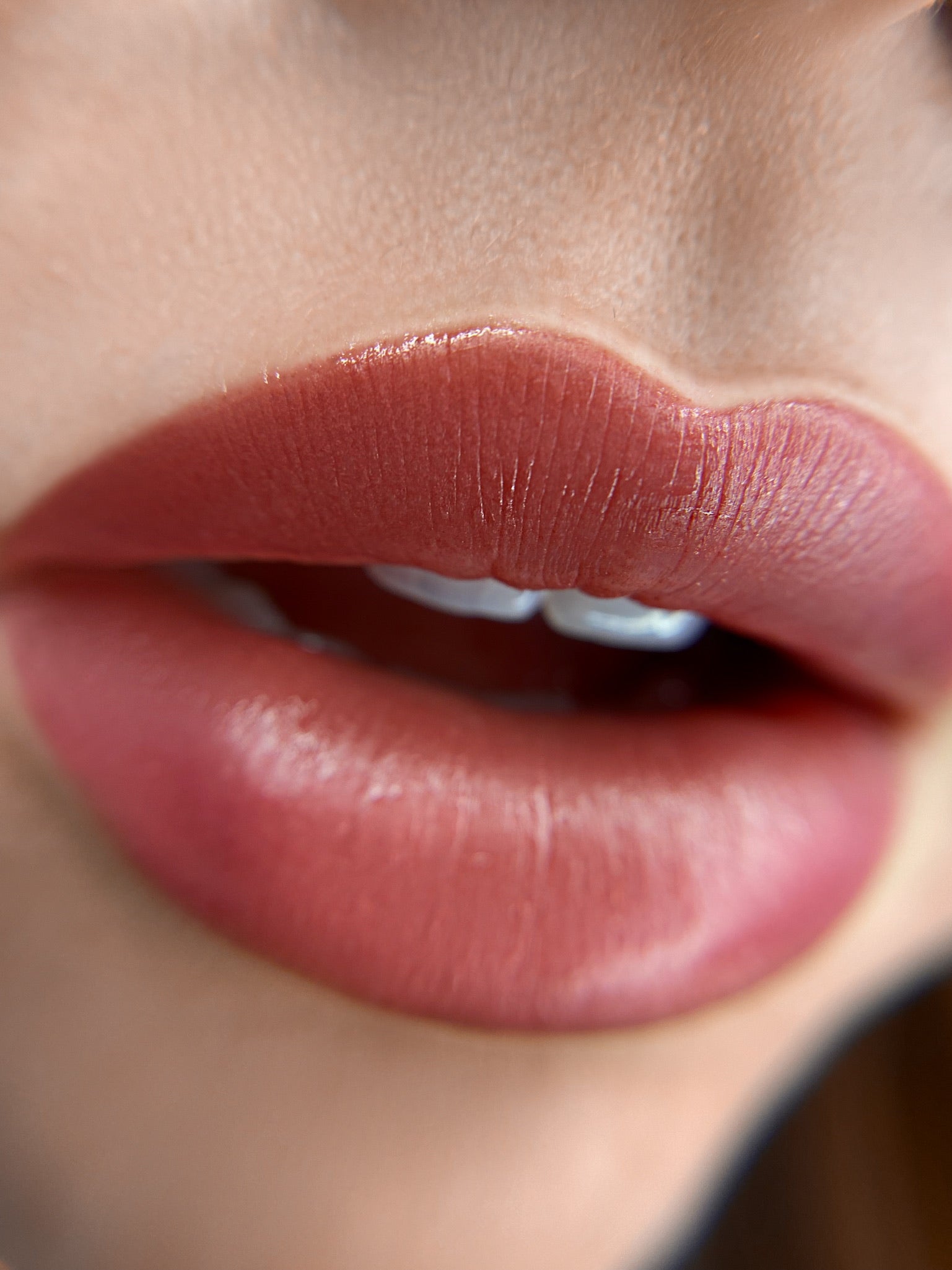 Master Lip Blush Course - La Jolla